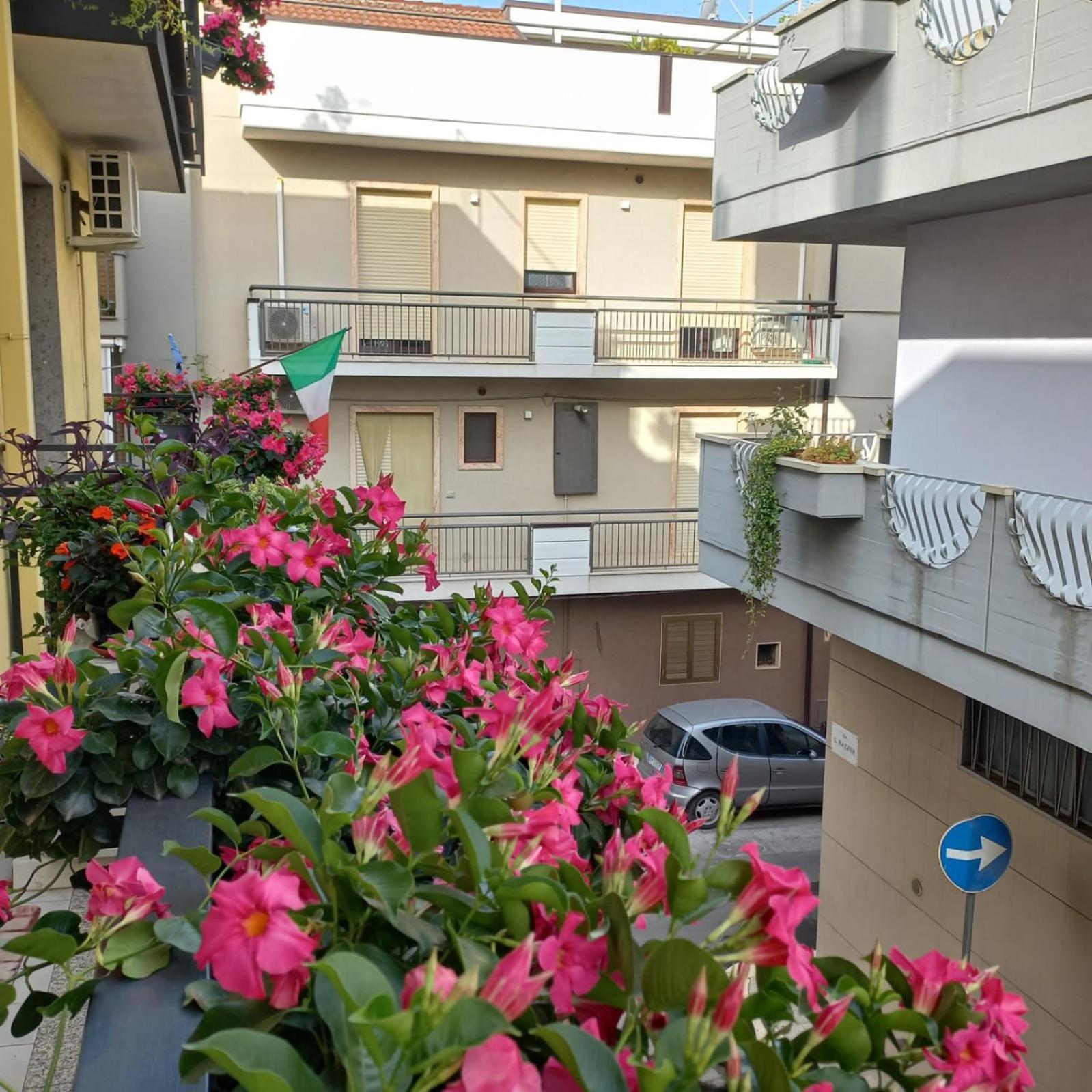 B&B Stupor Mundi Altamura Ngoại thất bức ảnh