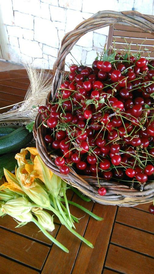 B&B Stupor Mundi Altamura Ngoại thất bức ảnh